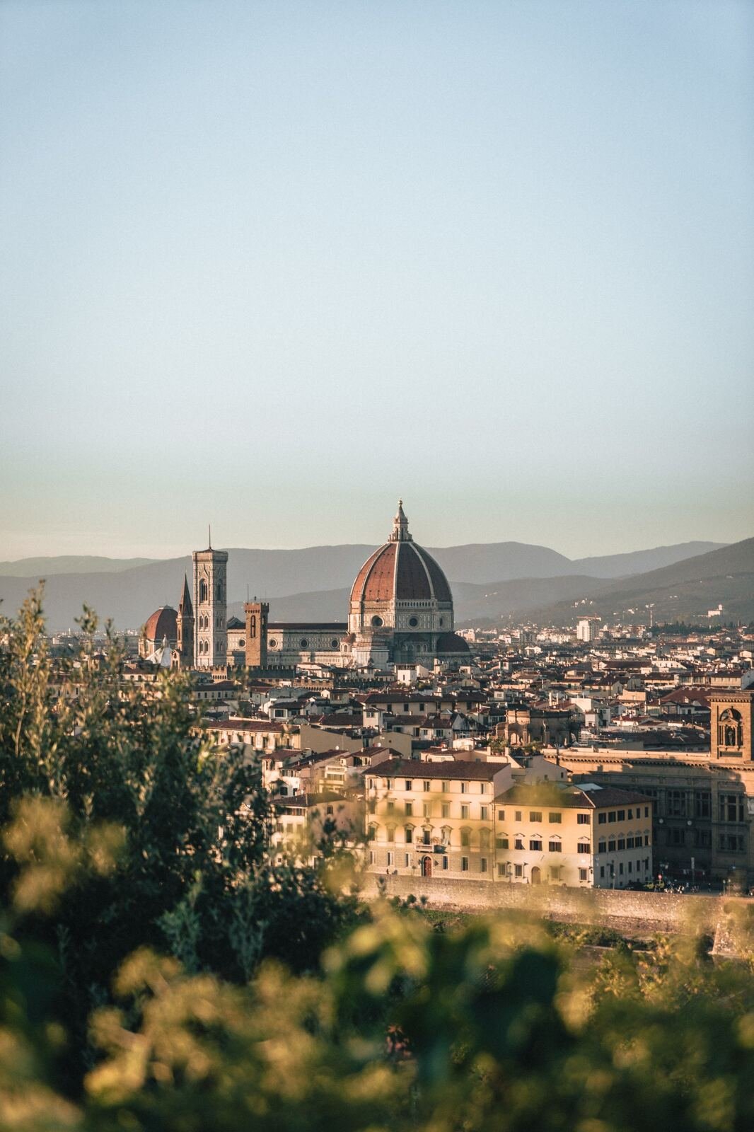 Duomo de Florencia entre olivos